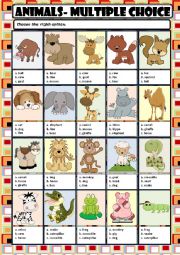 English Worksheet: ANIMALS - MULTIPLE  CHOICE