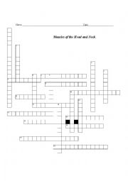 Facial Muscle Cross Word