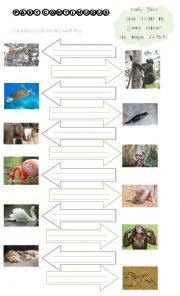 English Worksheet: Past Continuous Animals