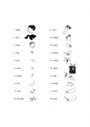 English Worksheet: Parts of the body