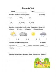 English Worksheet: diagnostic test