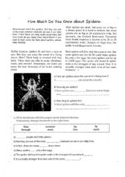 English Worksheet: News Article: How much do you know about Spiders?
