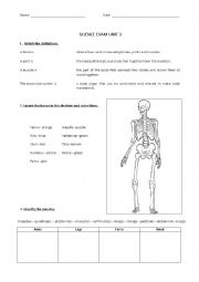 English Worksheet: Bones - Science - Human Body