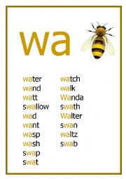 English Worksheet: WA Reading worksheet