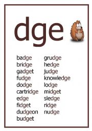 DGE Reading worksheet