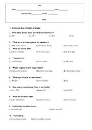 English Worksheet: Science Bones Quiz