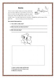 English Worksheet: Koalas