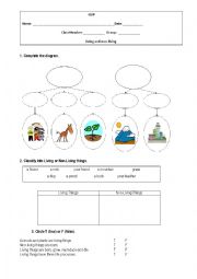 English Worksheet: Living and non-living