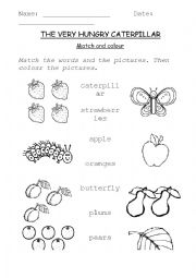 English Worksheet: The very hungry caterpillar - match and colour