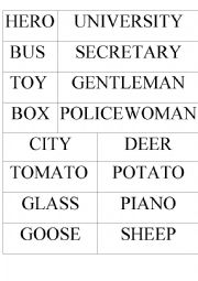 Irregular Plural Nouns