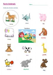 English Worksheet: Farm Animals - Young Learners