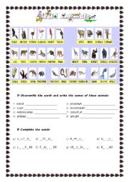 English Worksheet: Wild animals