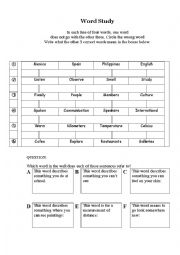 English Worksheet: Word Study