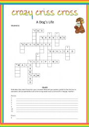 English Worksheet: Crazy Criss Cross - A Dogs Life (Pairwork Questions and Answers)