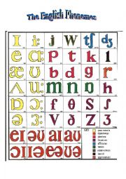 The english phonemes