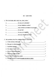 WH questions worksheet