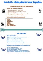 English Worksheet: The giand Panda and the Blue Whale
