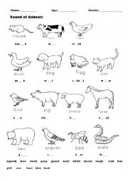 English Worksheet: Animal Sounds