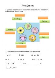 English Worksheet: Five Senses