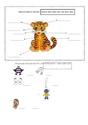 English Worksheet: LABEL THE PARTS OF THE BODY