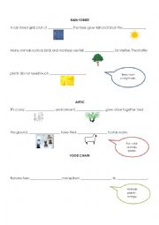 English Worksheet: rain forest- Arctic - Food chain