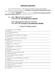 English Worksheet: Reported Speech, interrogative