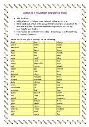 Spelling rule  -singular to plural nouns (Part 1)