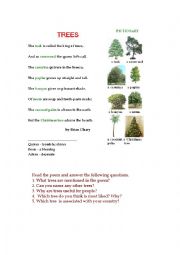 TREES (a poem + a pictionary + questions)