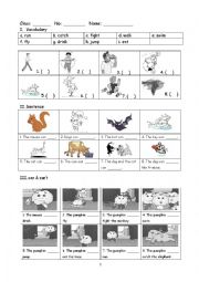 English Worksheet: Can & Cant