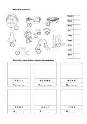 English Worksheet: Parts of the body