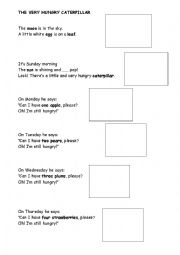 English Worksheet: THe very hungry caterpillar