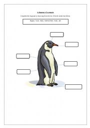 Diagram of a penguin