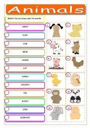 English Worksheet: Animals