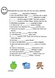 English Worksheet: Possessive adjectives