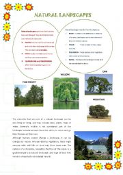 English Worksheet: NATURAL LANDSCAPE