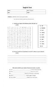 English Worksheet: past simple test