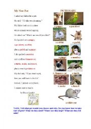 English Worksheet: A PET (a poem + a pictionary)