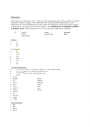 English Worksheet: Determiners 