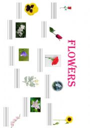English Worksheet: THE FLOWERS