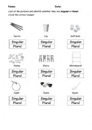Singular/Plural worksheet