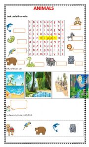 English Worksheet: animals and their habitat