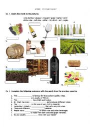 Vocabulary and Reading Comprehension about wine 