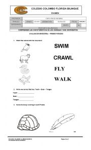 English Worksheet: science worksheet 