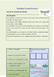 English Worksheet: Reading Comprehesion