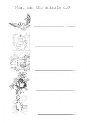 English Worksheet: What can animals do?