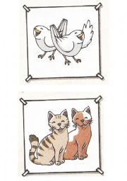 Animals cards