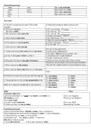 English Worksheet: Possessive Pronouns