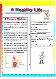 the digestive system- a wondeful machine