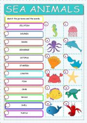 English Worksheet: Sea Animals