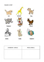 ANIMALS CLASSIFICATION